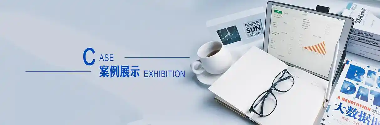 卫东区软件开发